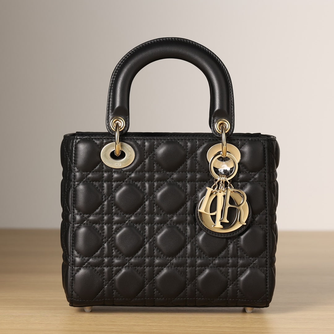 Dior 迪奧 Leather Goods