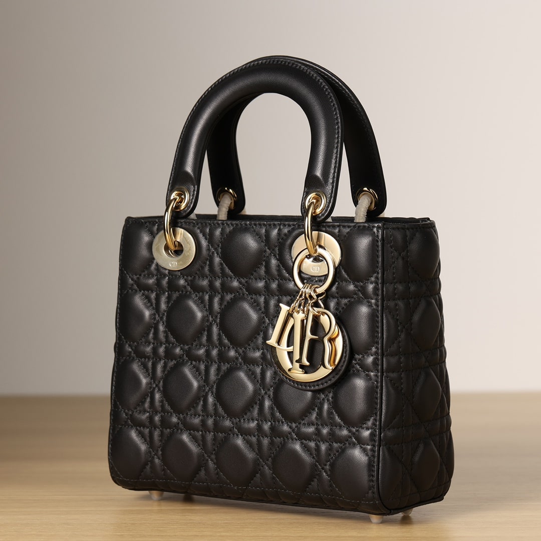 Dior 迪奧 Leather Goods