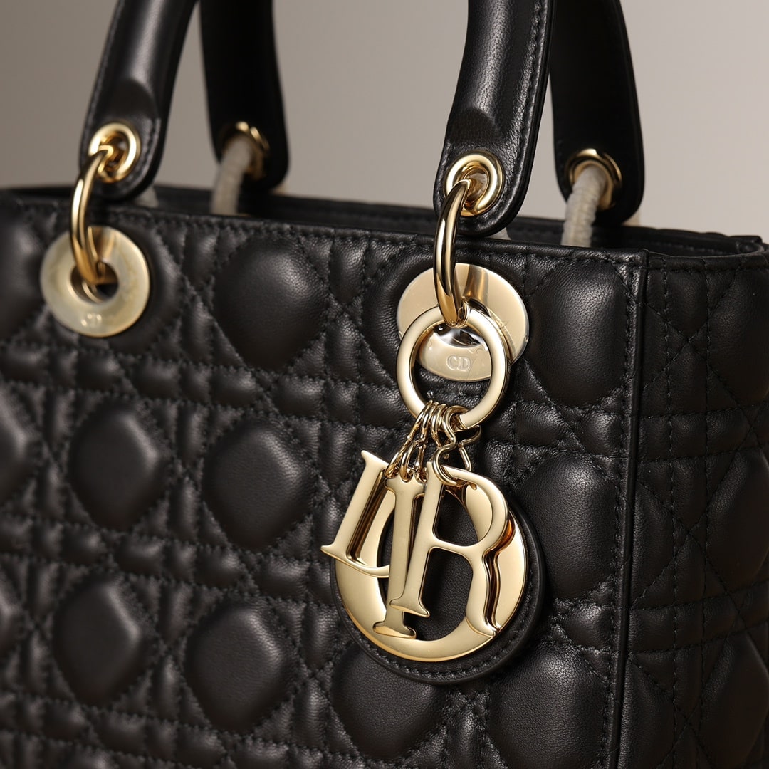 Dior 迪奧 Leather Goods