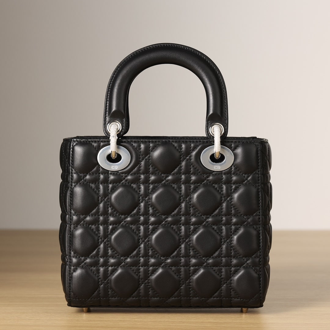 Dior 迪奧 Leather Goods
