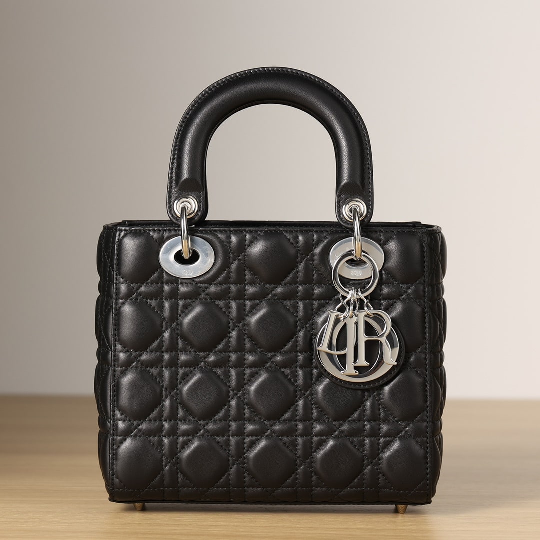 Dior 迪奧 Leather Goods
