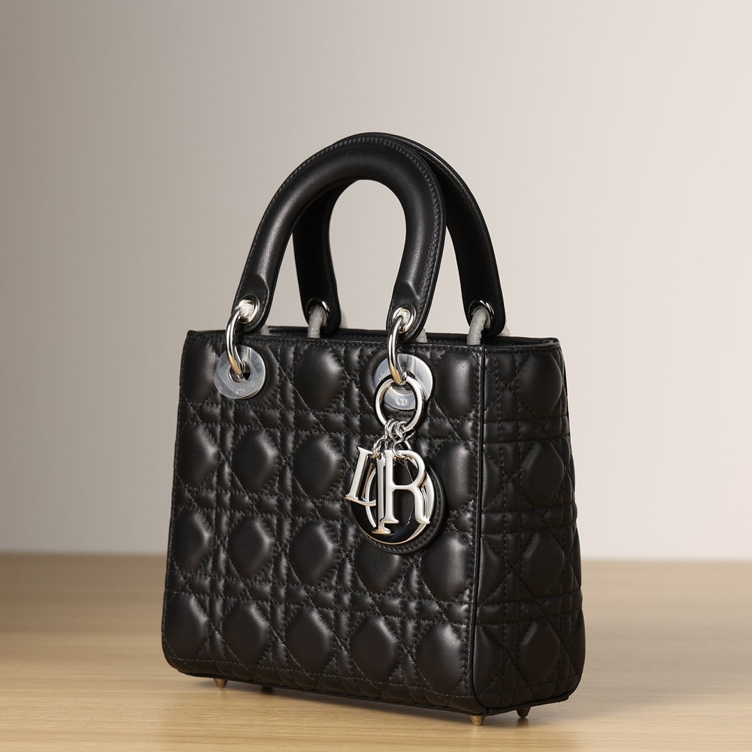 Dior 迪奧 Leather Goods
