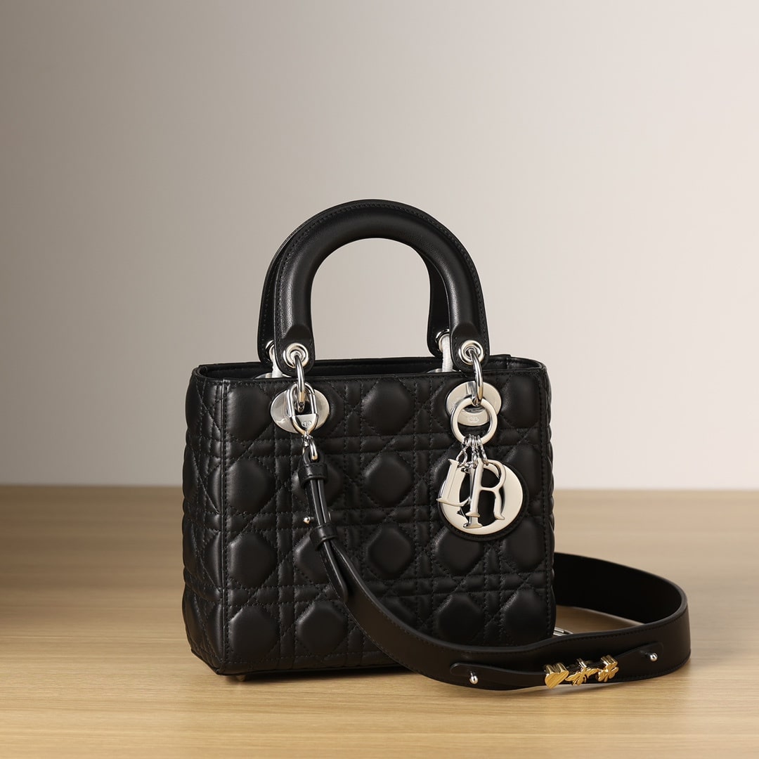 Dior 迪奧 Leather Goods