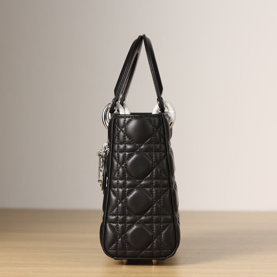 Dior 迪奧 Leather Goods