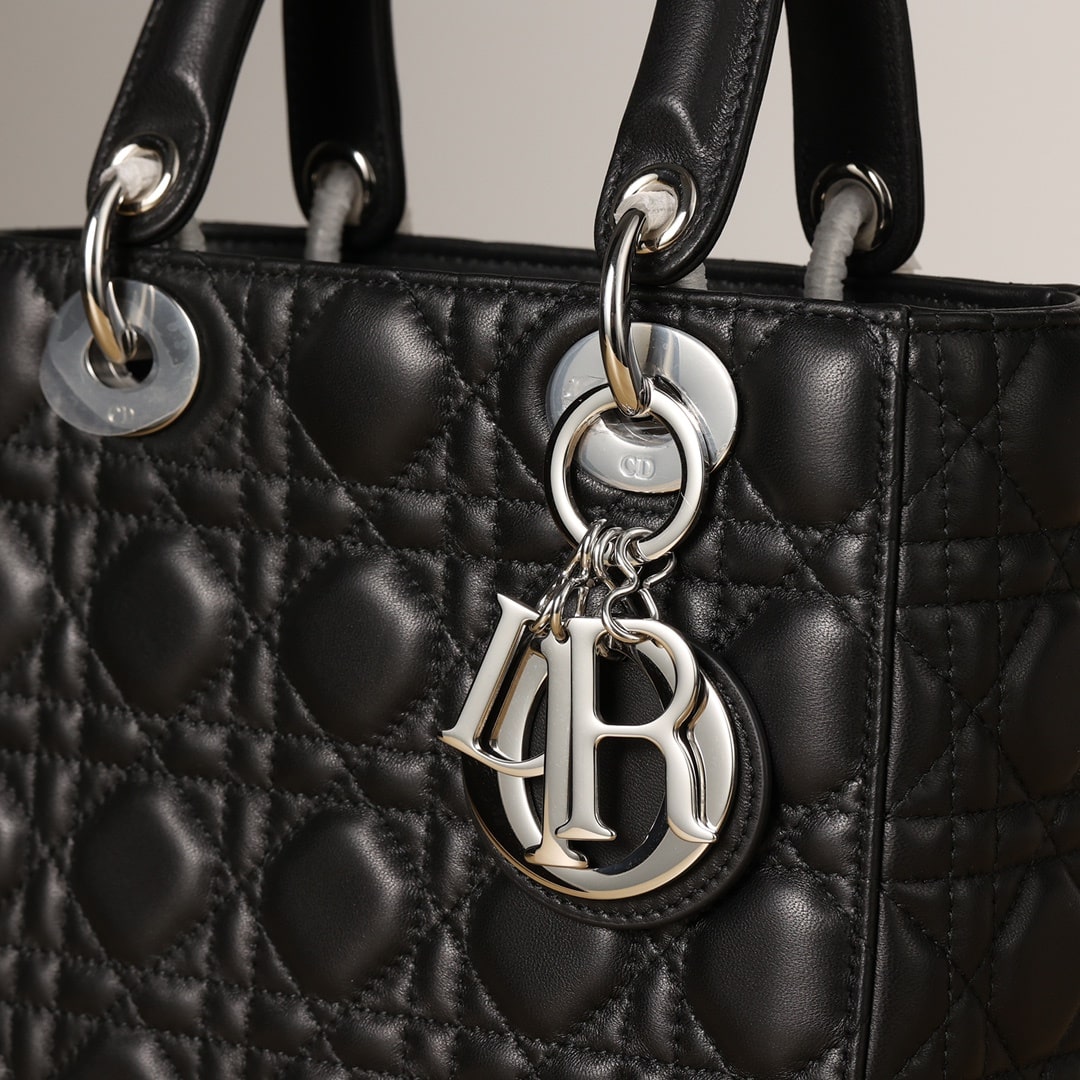 Dior 迪奧 Leather Goods