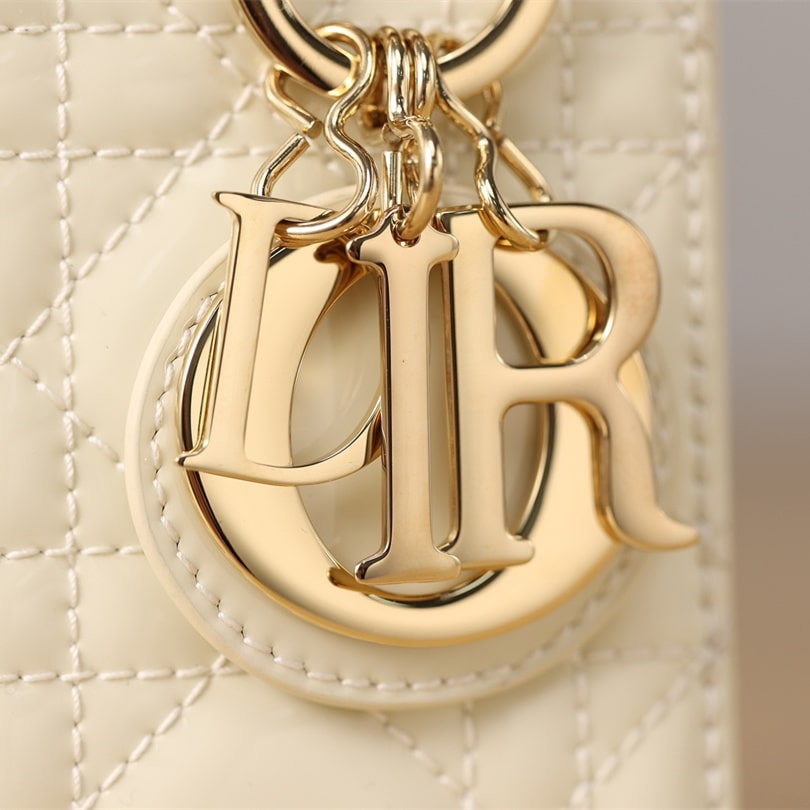 Dior 迪奧 Leather Goods