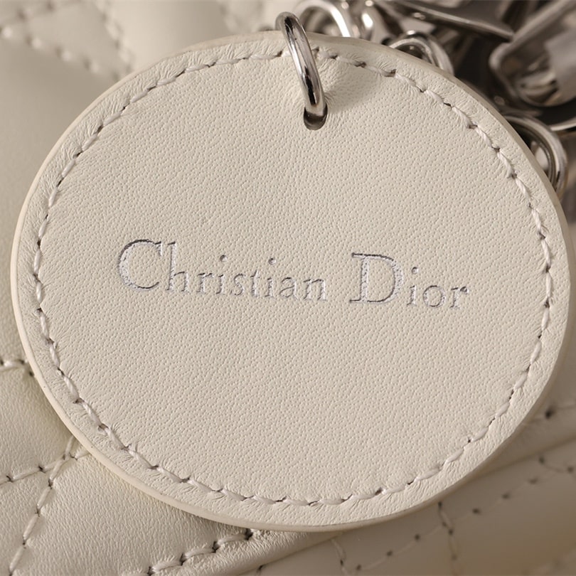 Dior 迪奧 Leather Goods