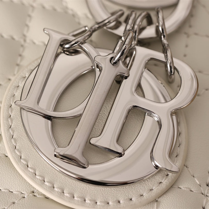 Dior 迪奧 Leather Goods