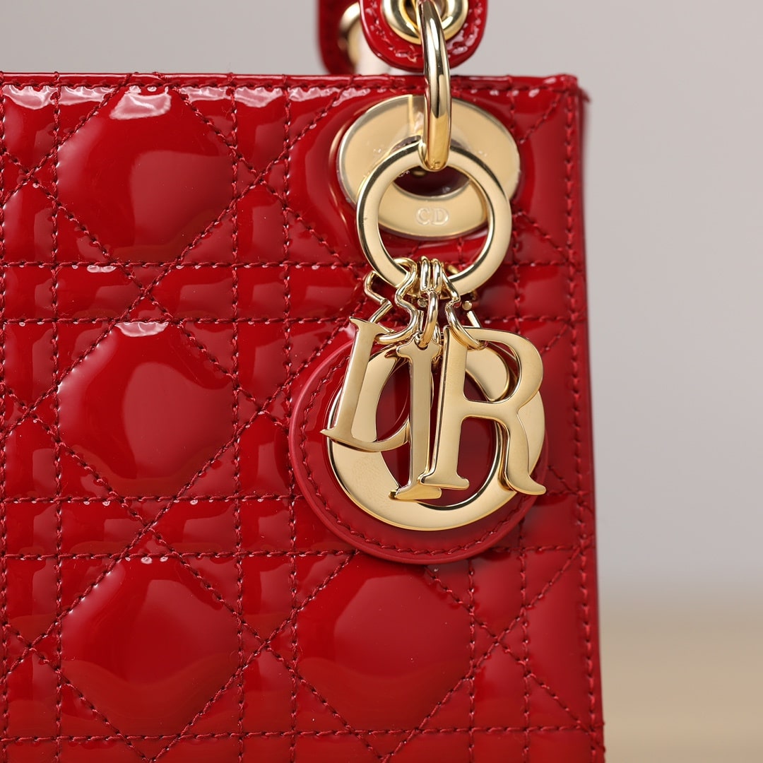 Dior 迪奧 Leather Goods