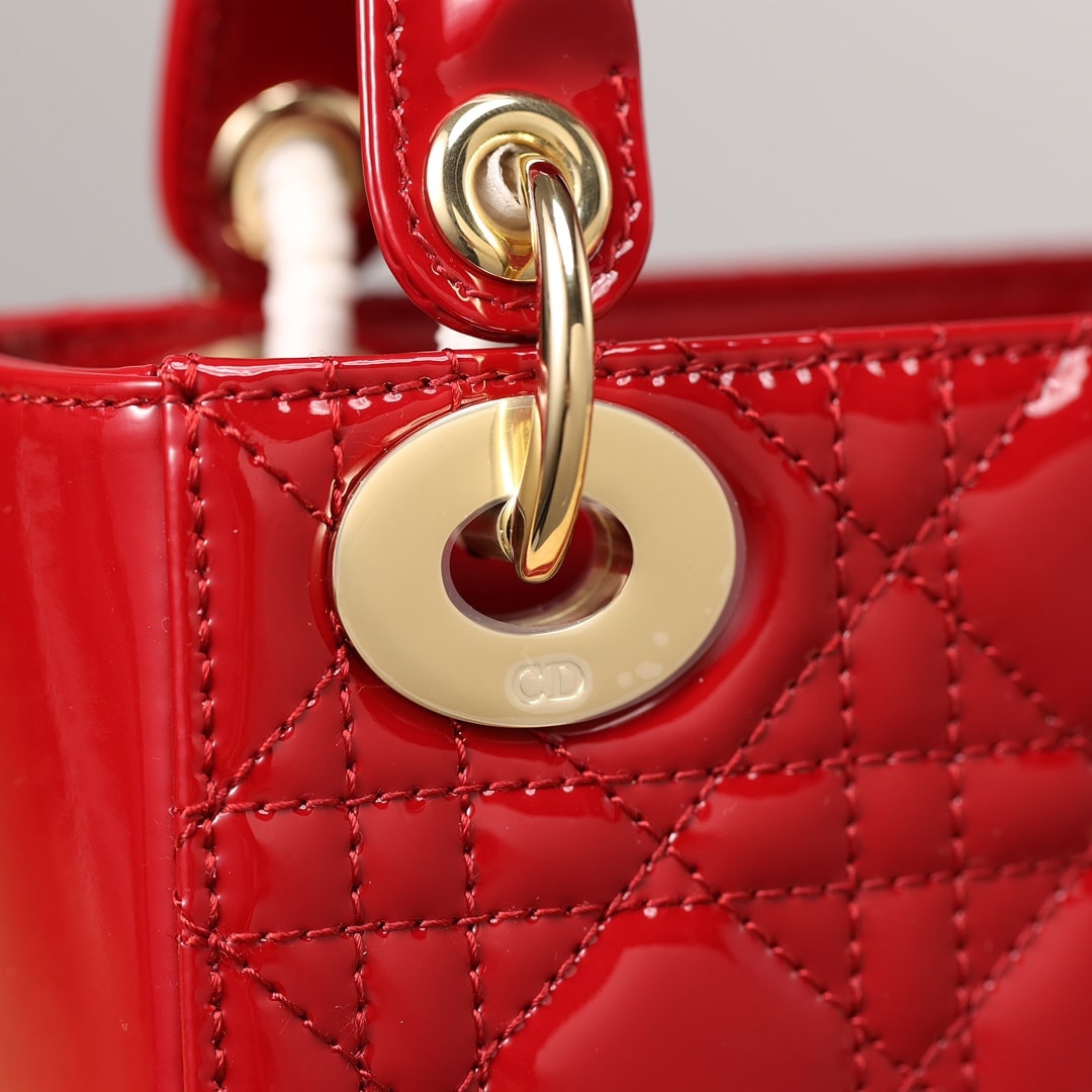 Dior 迪奧 Leather Goods