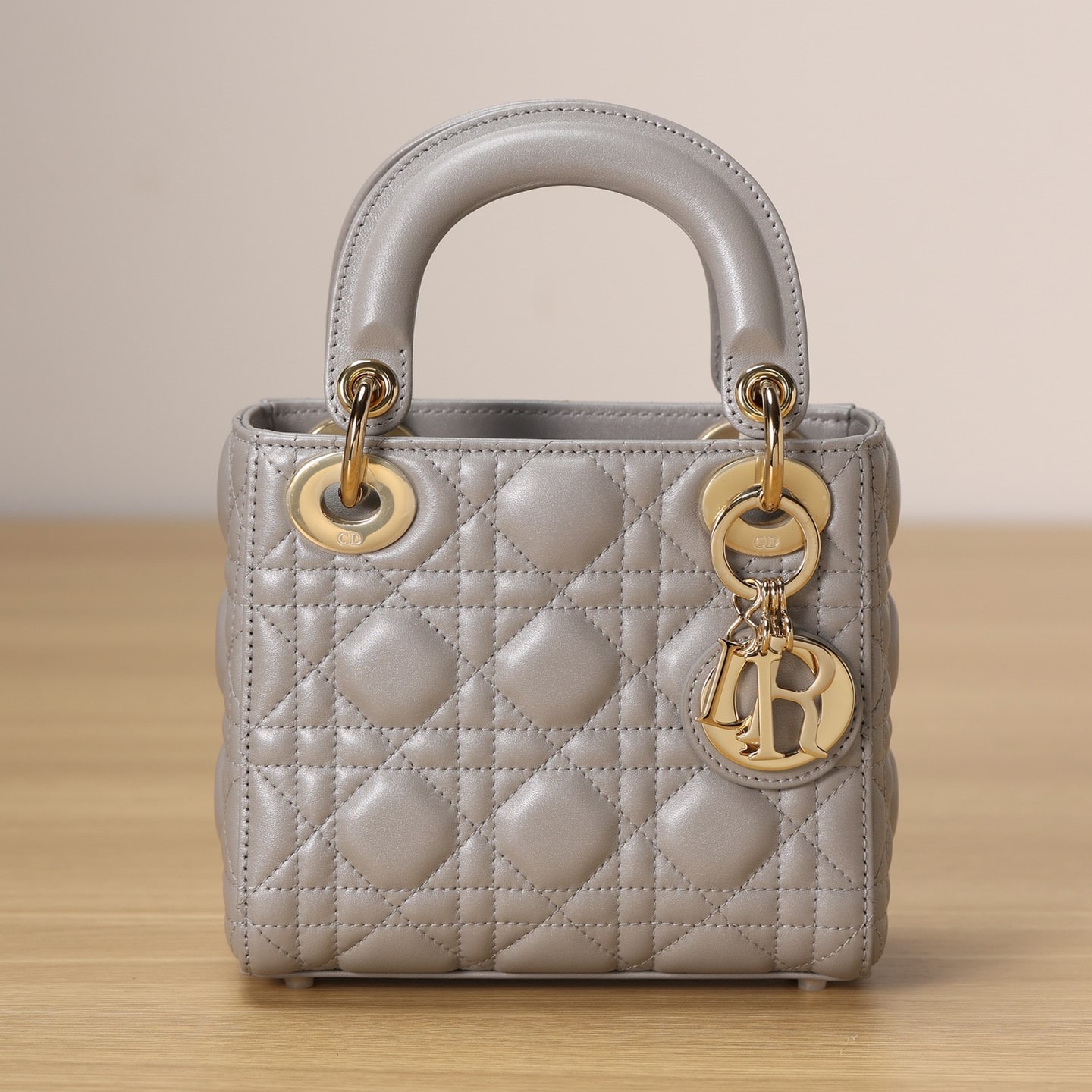 Dior 迪奧 Leather Goods