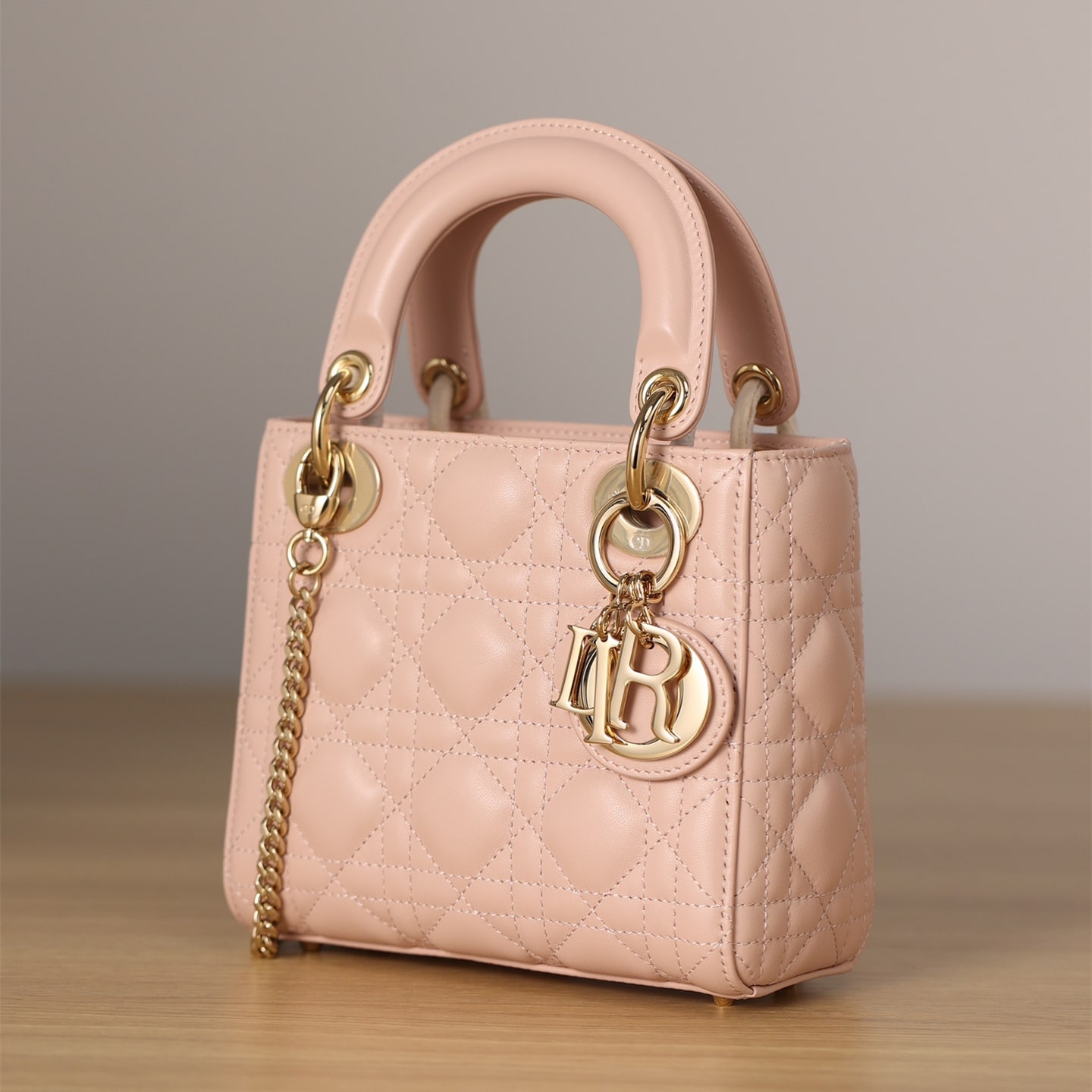 Dior 迪奧 Leather Goods