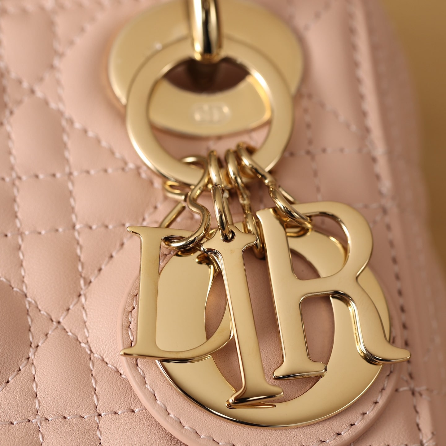 Dior 迪奧 Leather Goods