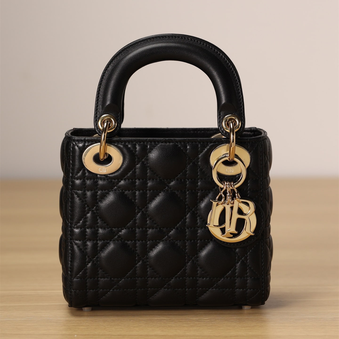 Dior 迪奧 Leather Goods