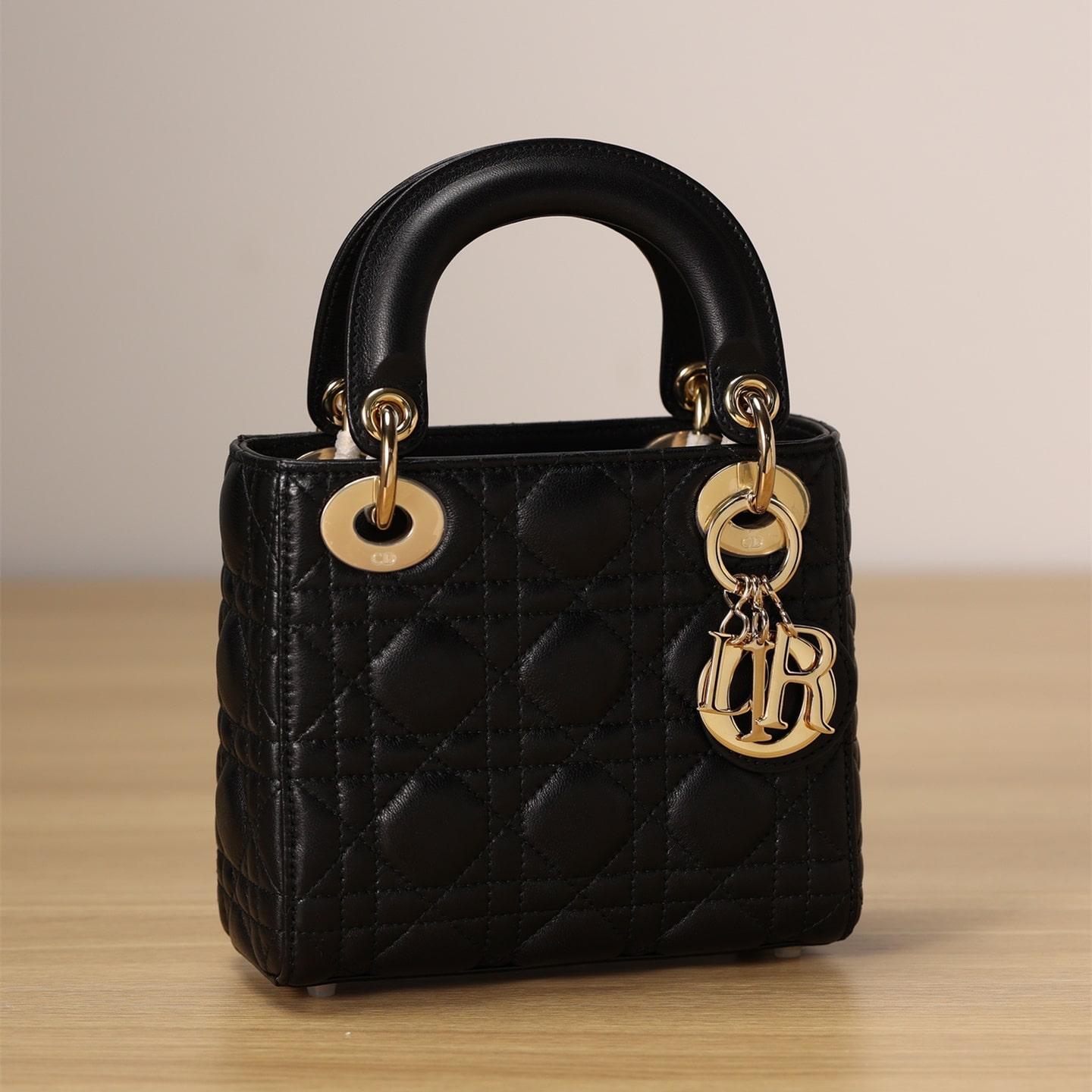 Dior 迪奧 Leather Goods