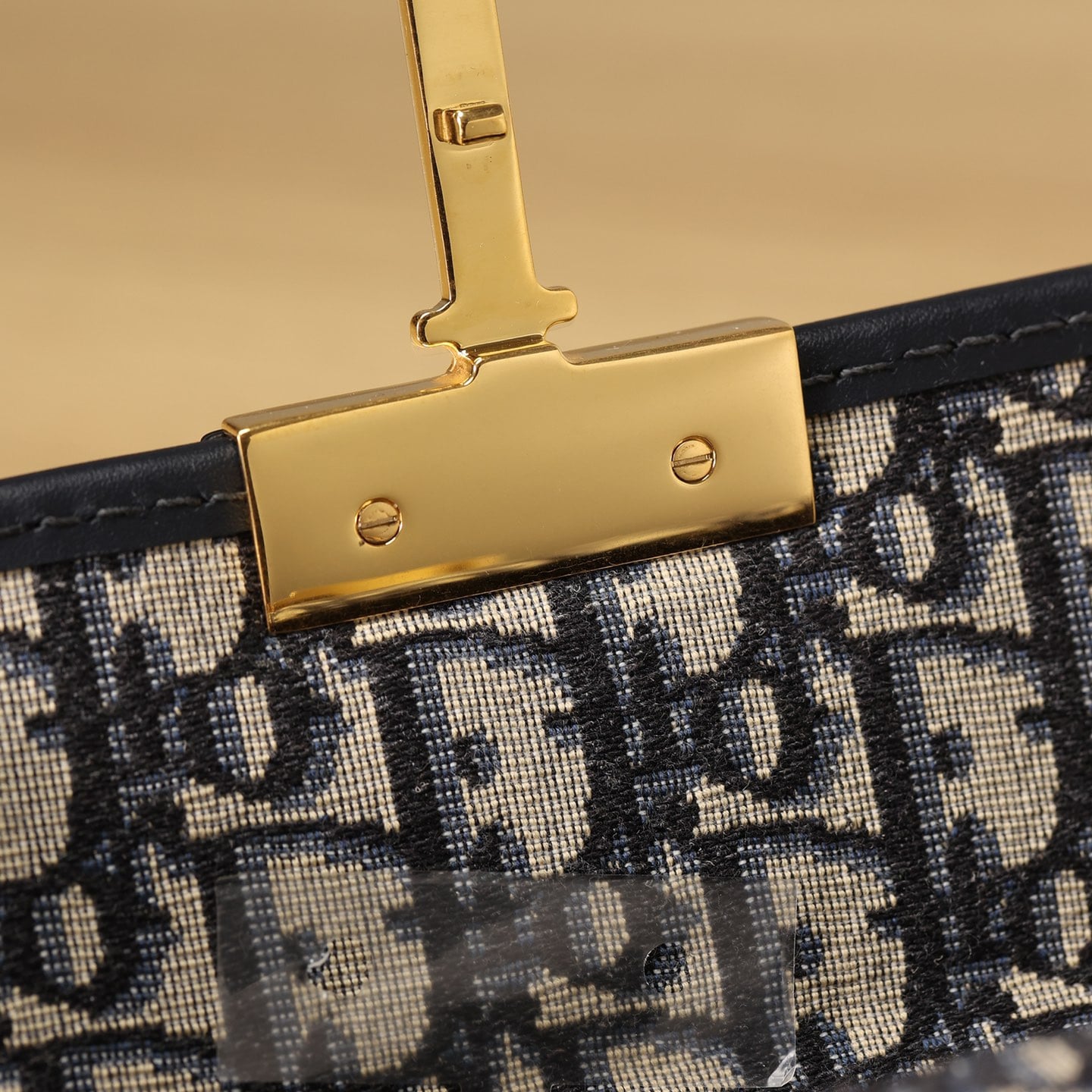 Dior 迪奧 Leather Goods