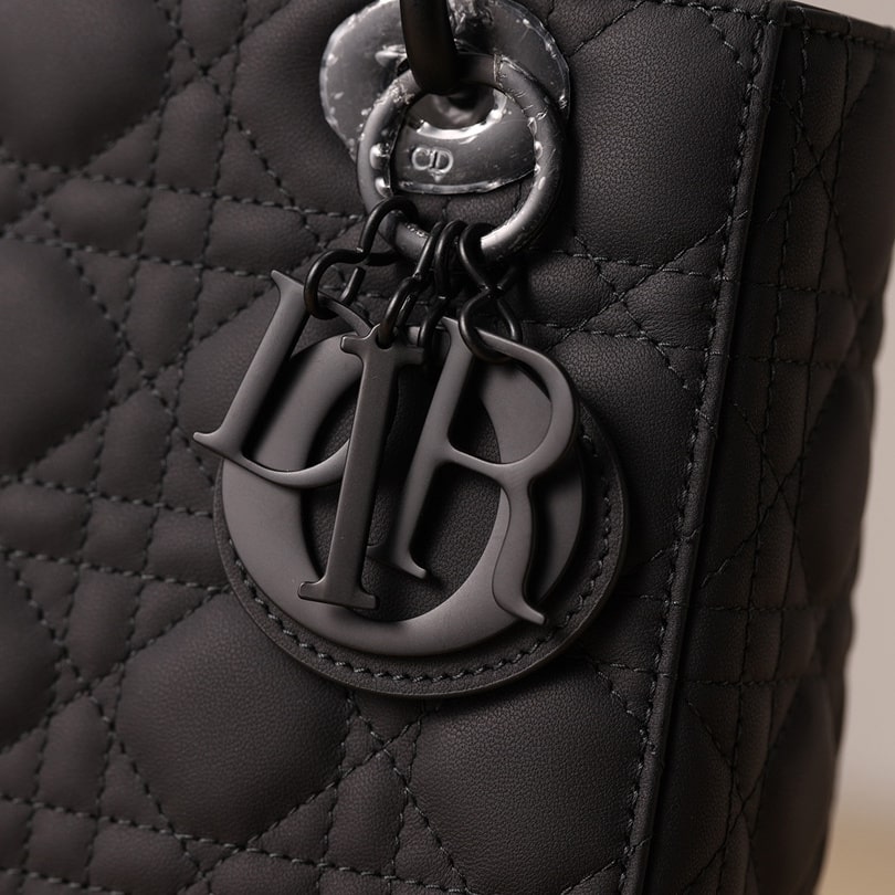 Dior 迪奧 Leather Goods