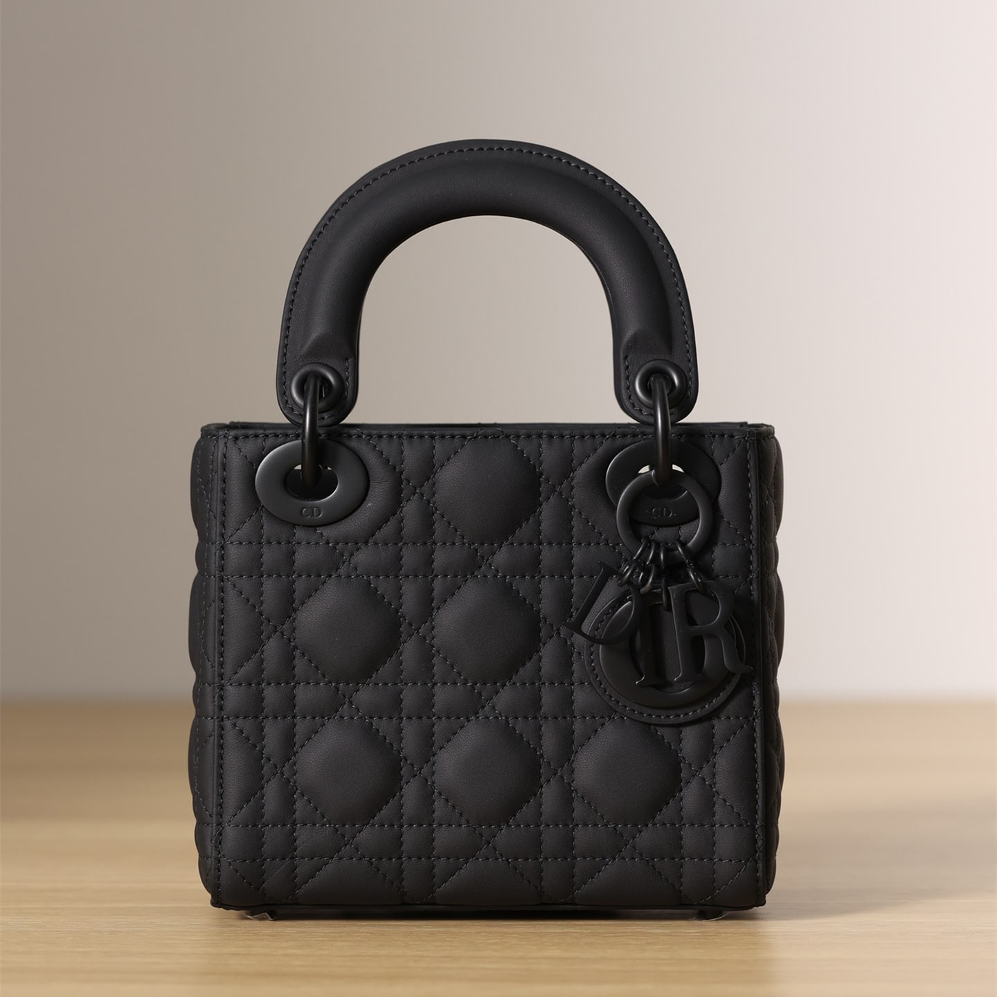 Dior 迪奧 Leather Goods