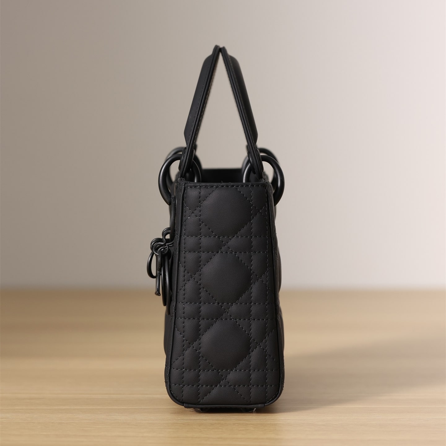 Dior 迪奧 Leather Goods