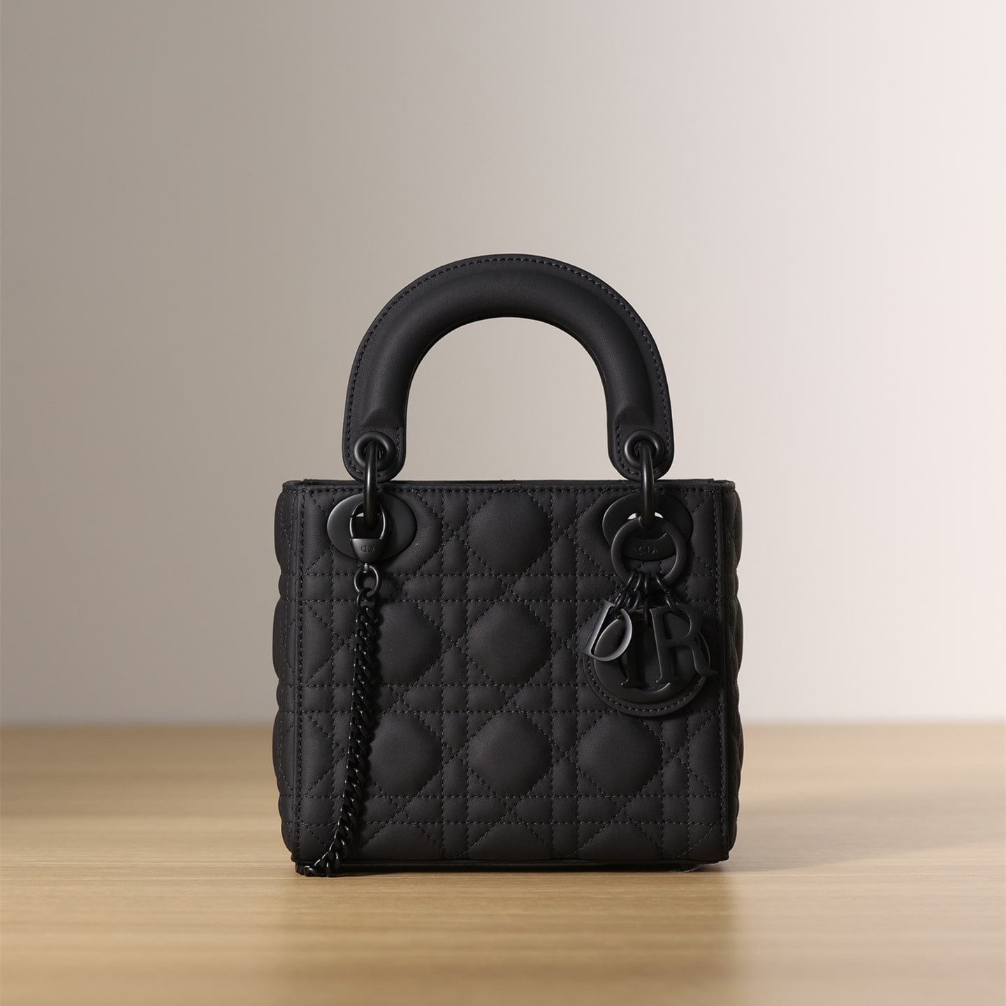 Dior 迪奧 Leather Goods