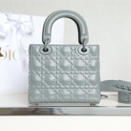 Dior 迪奧 Leather Goods
