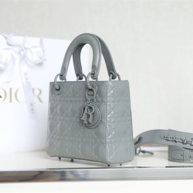 Dior 迪奧 Leather Goods