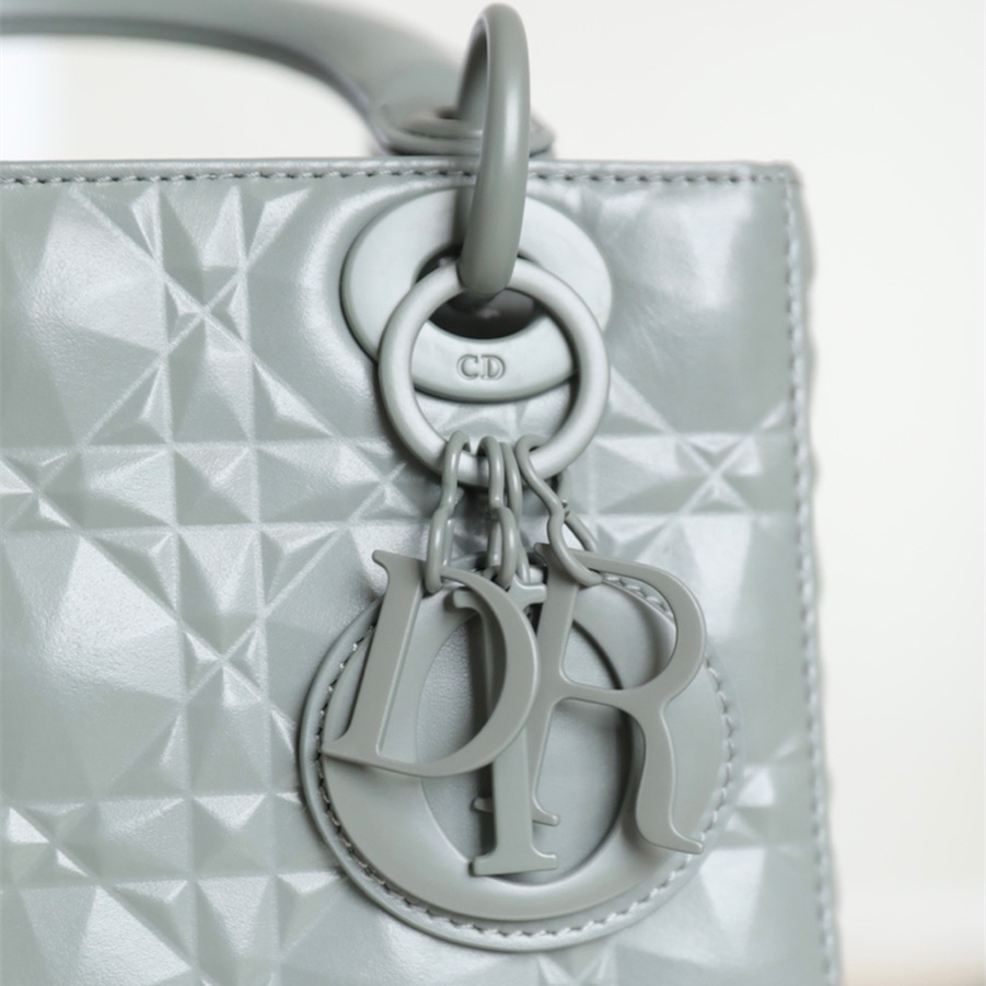 Dior 迪奧 Leather Goods