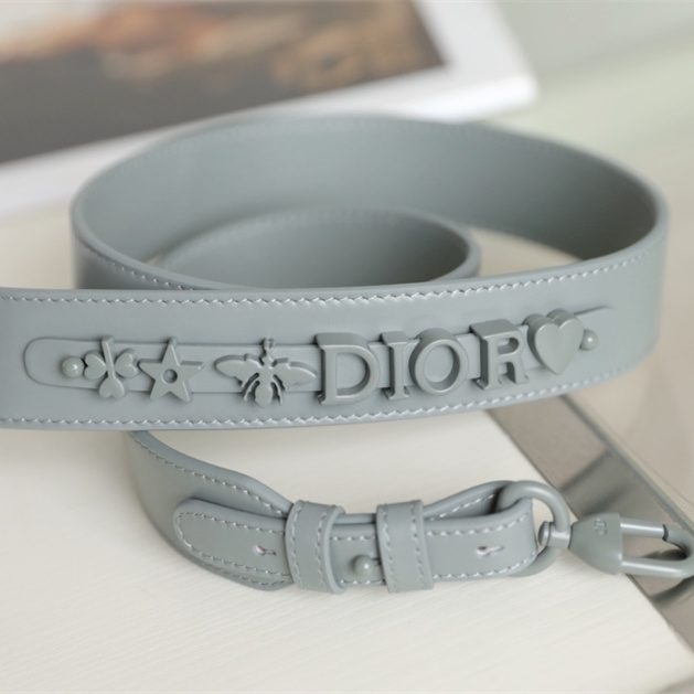 Dior 迪奧 Leather Goods