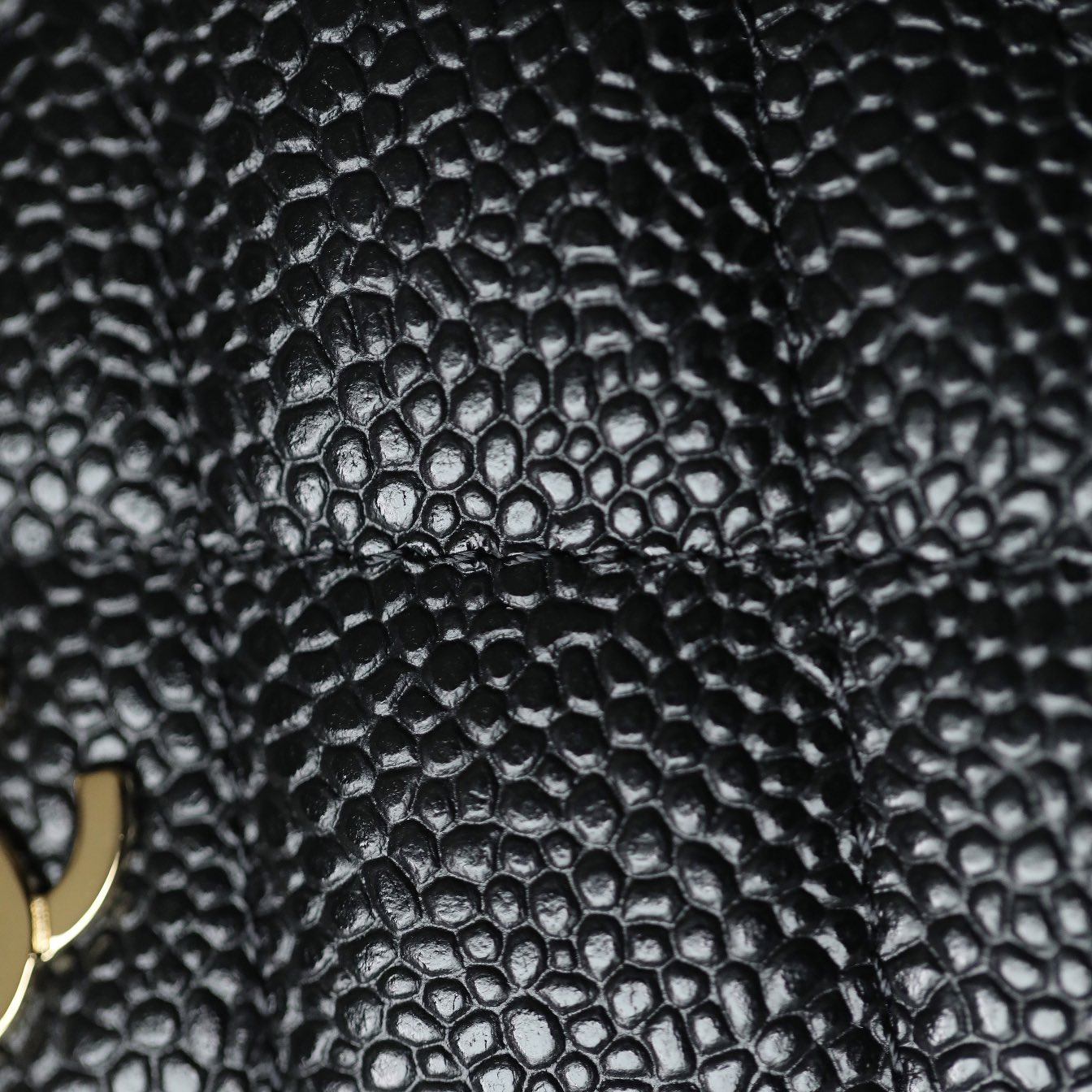 Chanel 香奈兒 Leather Goods