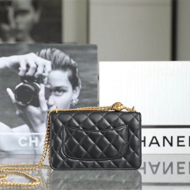 Chanel 香奈兒 Leather Goods