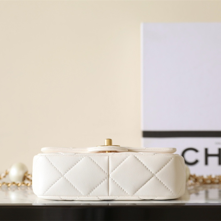 Chanel 香奈兒 Leather Goods