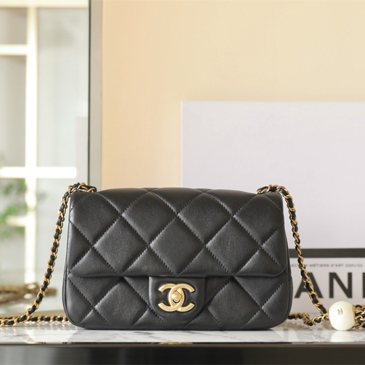 Chanel 香奈兒 Leather Goods