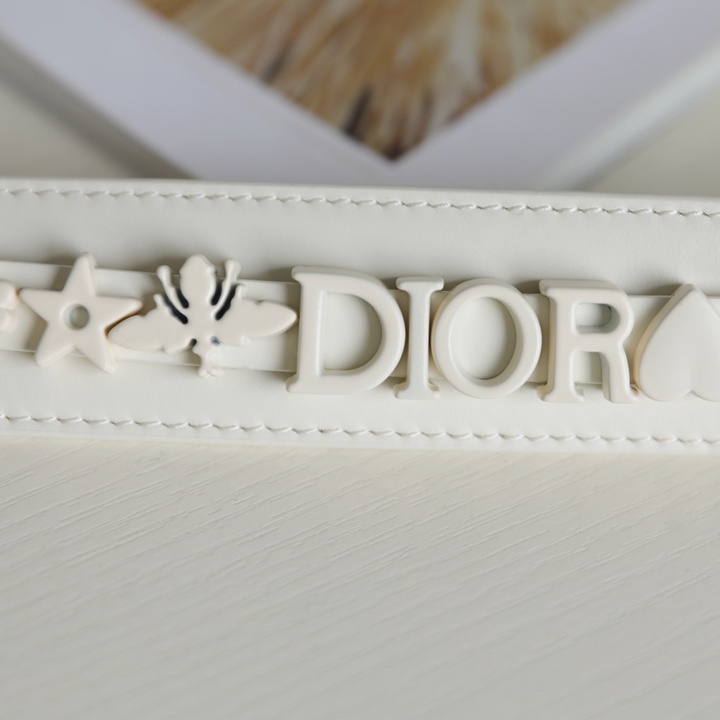 Dior 迪奧 Leather Goods