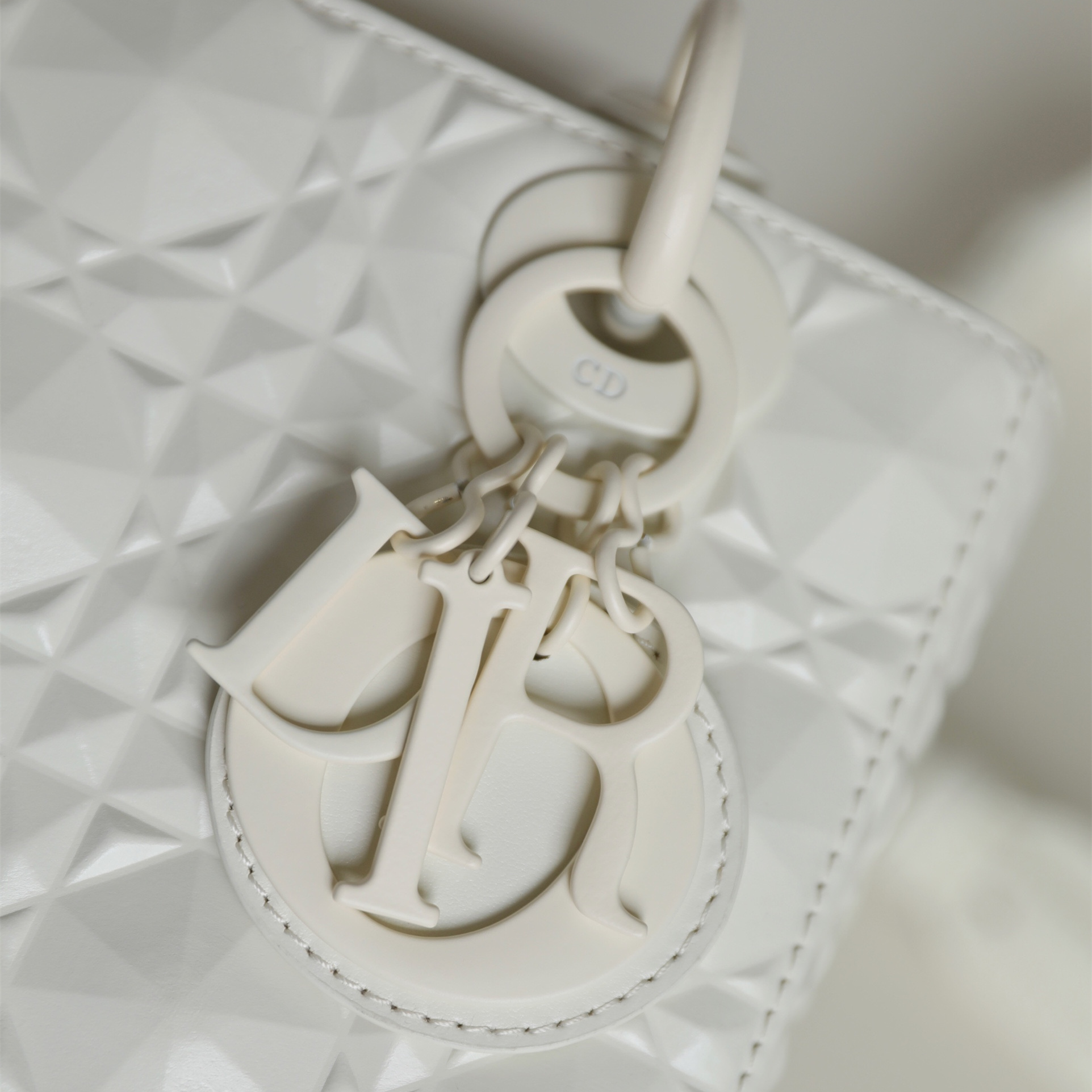 Dior 迪奧 Leather Goods