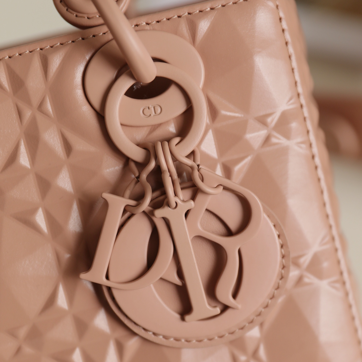 Dior 迪奧 Leather Goods