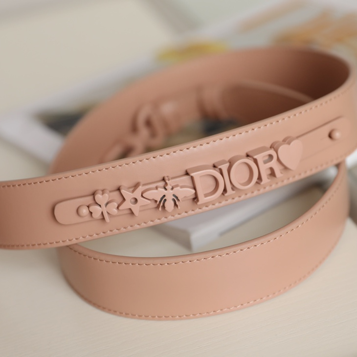 Dior 迪奧 Leather Goods