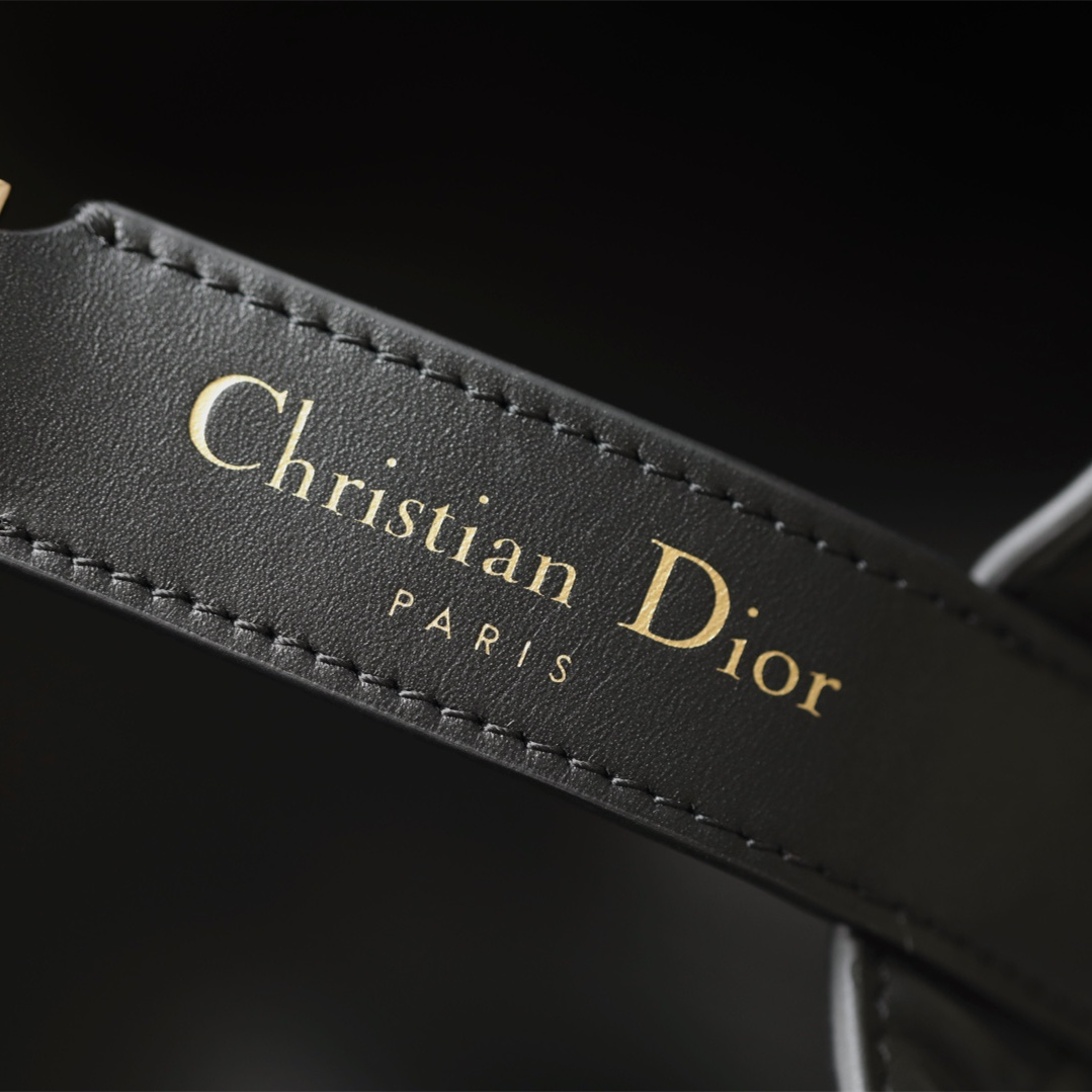 Dior 迪奧 Leather Goods