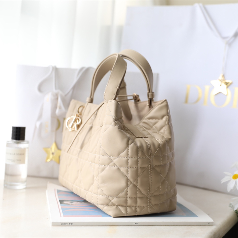 Dior 迪奧 Leather Goods