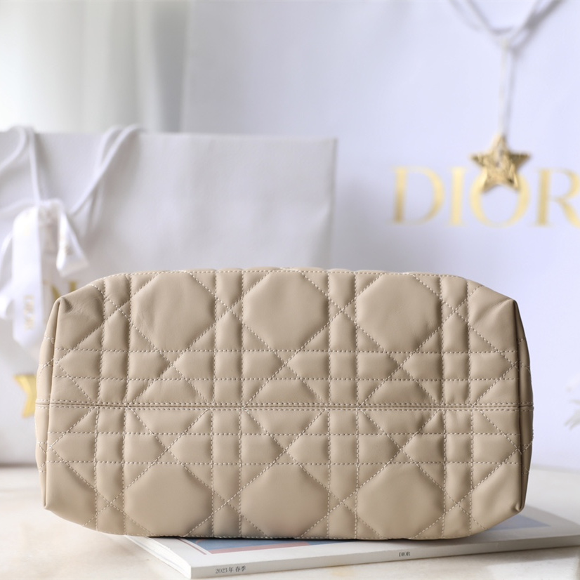 Dior 迪奧 Leather Goods