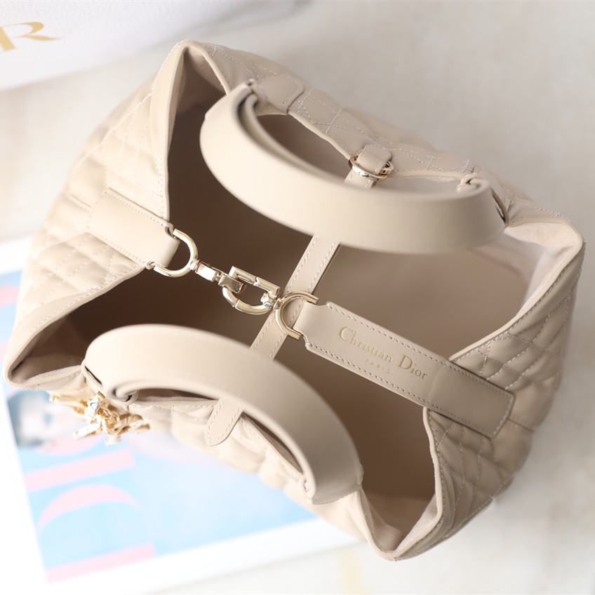 Dior 迪奧 Leather Goods