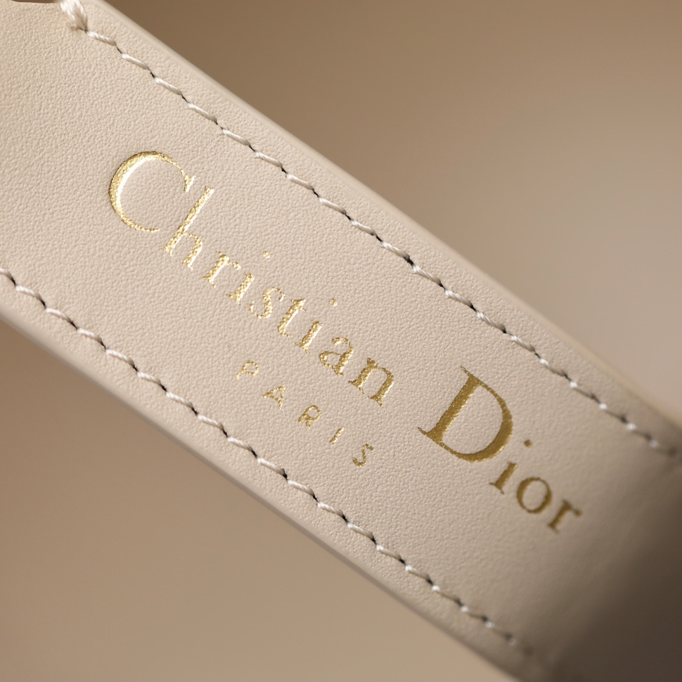 Dior 迪奧 Leather Goods