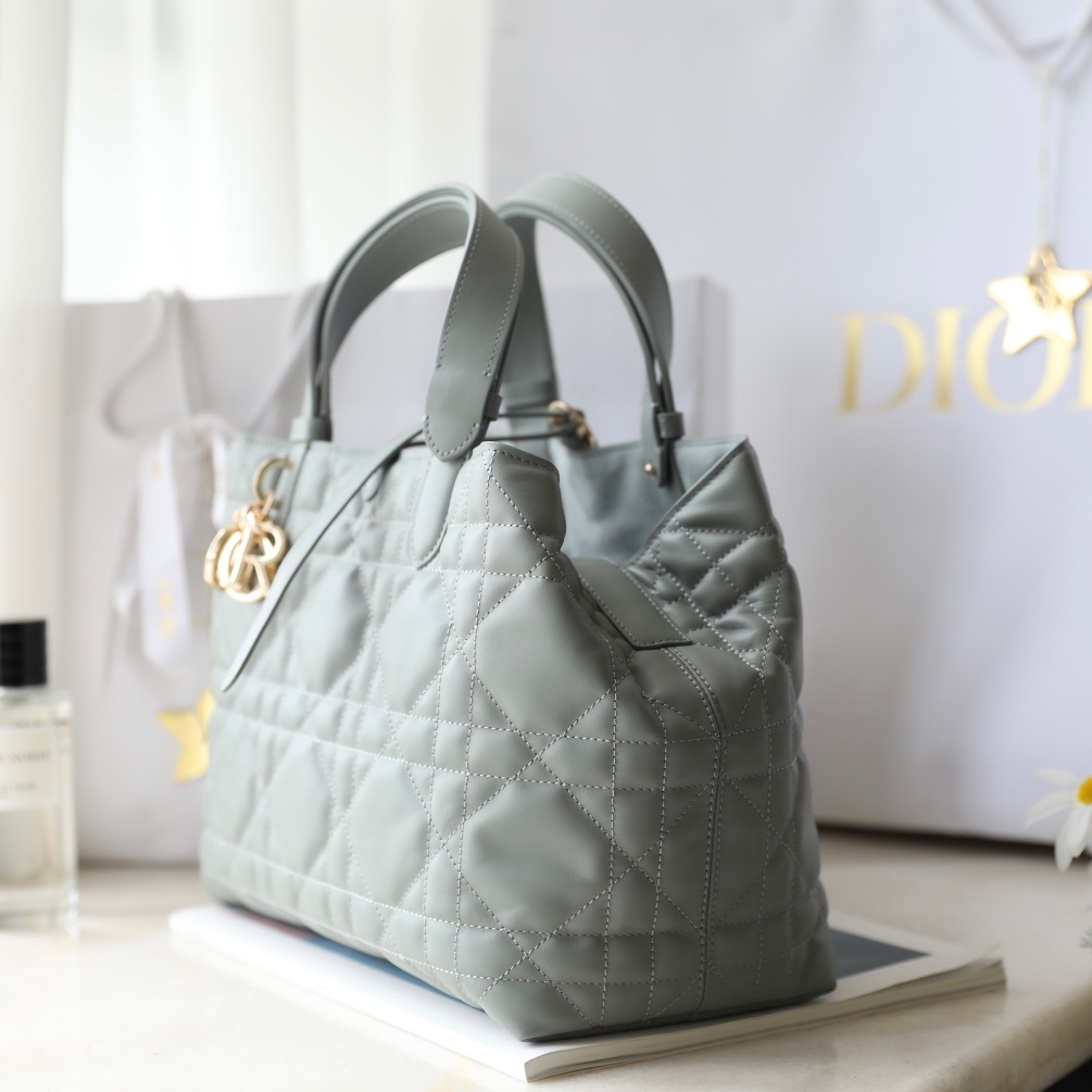 Dior 迪奧 Leather Goods