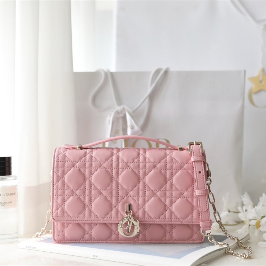 Dior 迪奧 Leather Goods