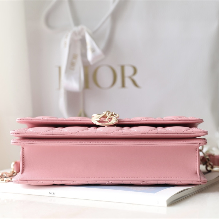 Dior 迪奧 Leather Goods