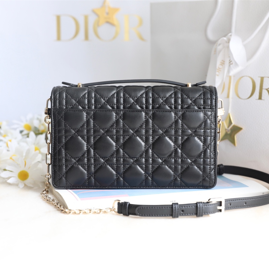 Dior 迪奧 Leather Goods