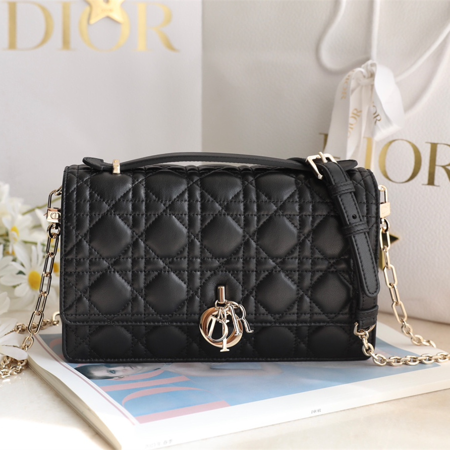 Dior 迪奧 Leather Goods