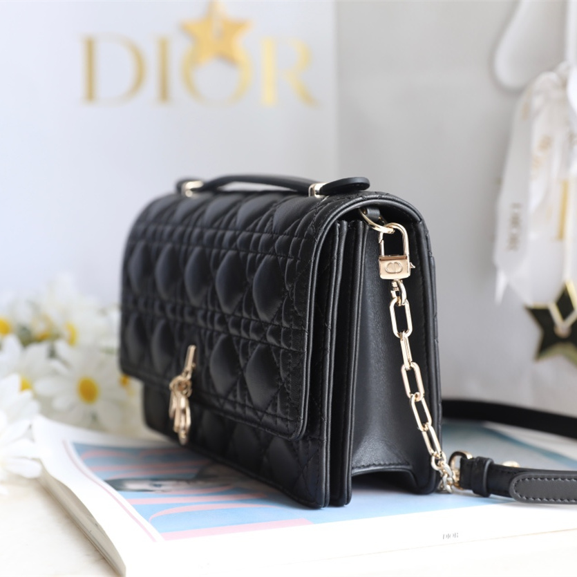 Dior 迪奧 Leather Goods