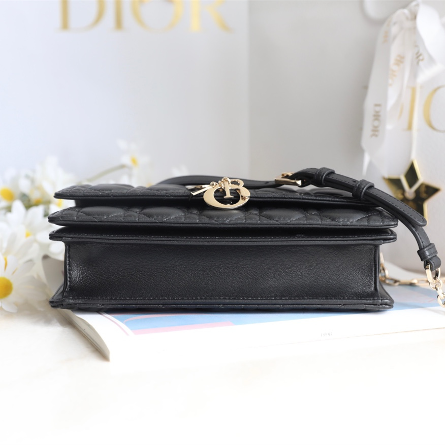 Dior 迪奧 Leather Goods