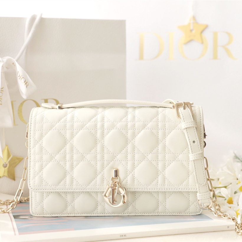Dior 迪奧 Leather Goods