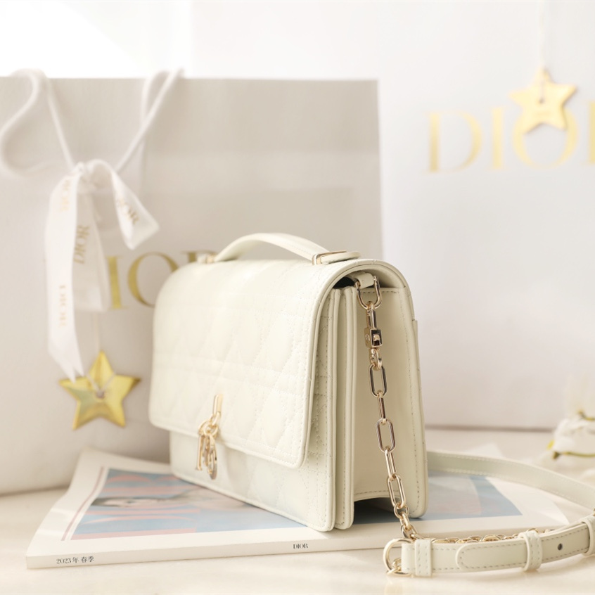 Dior 迪奧 Leather Goods